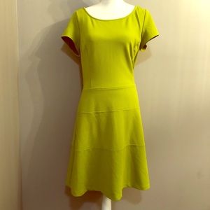 Glamour Petite Green Dress